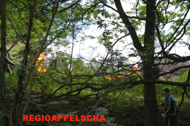 Regio Appelscha